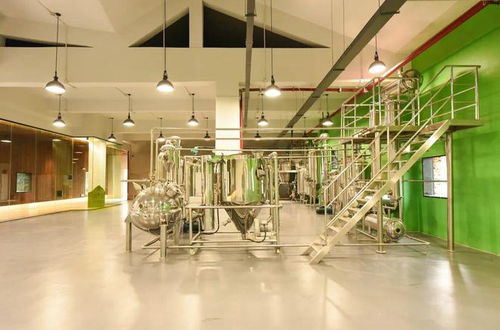 游弋在有形與無(wú)形之間 麗江田園橄欖油廠室內(nèi)設(shè)計(jì)