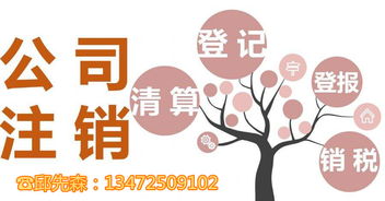 一站式服務(wù) 上海各區(qū)公司注銷、工商注冊(cè)及商標(biāo)代理全方位指南